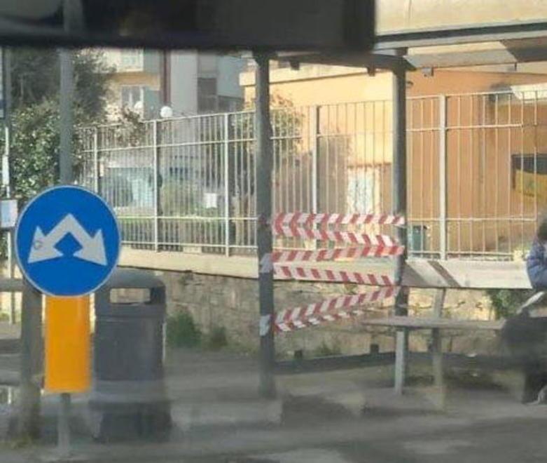 Si ferisce alla fermata del bus