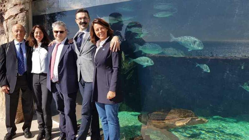 Nelle vasche dell’acquario il test per trovare plastiche bio