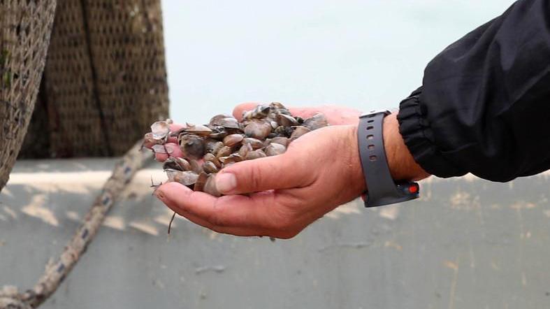 Morte vongole per 500mila euro E il processo dura dieci anni