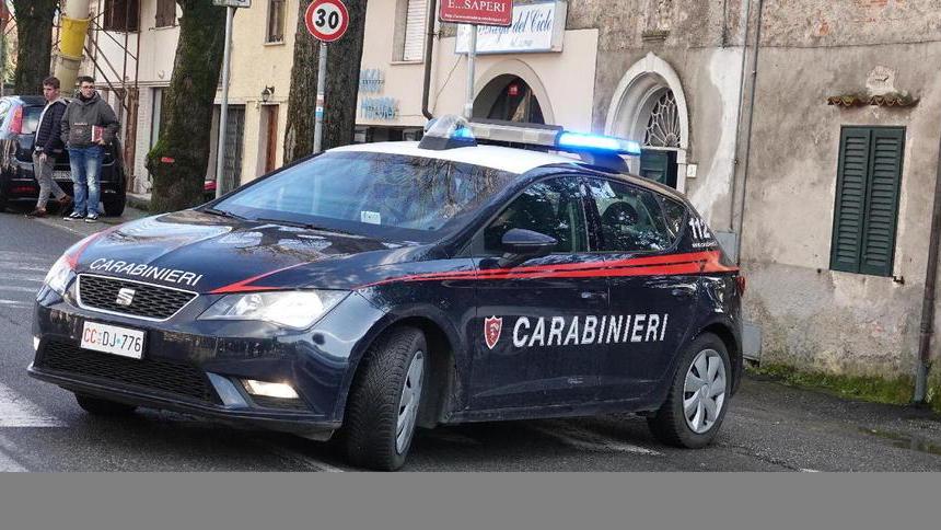 Uccide la madre con dieci coltellate: la lite per una questione di soldi