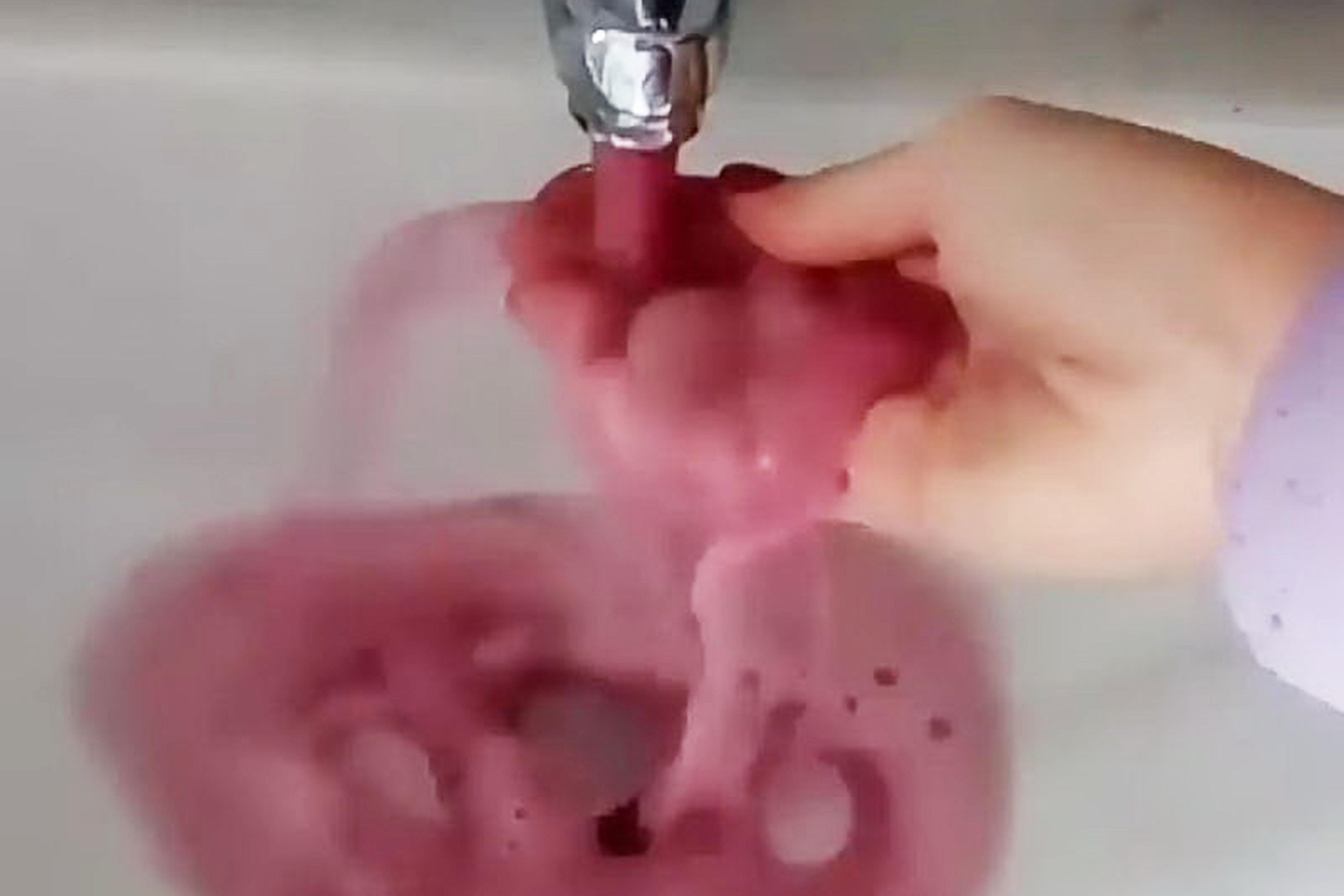 Lambrusco dai rubinetti, a Castelvetro il “miracolo” del vino 