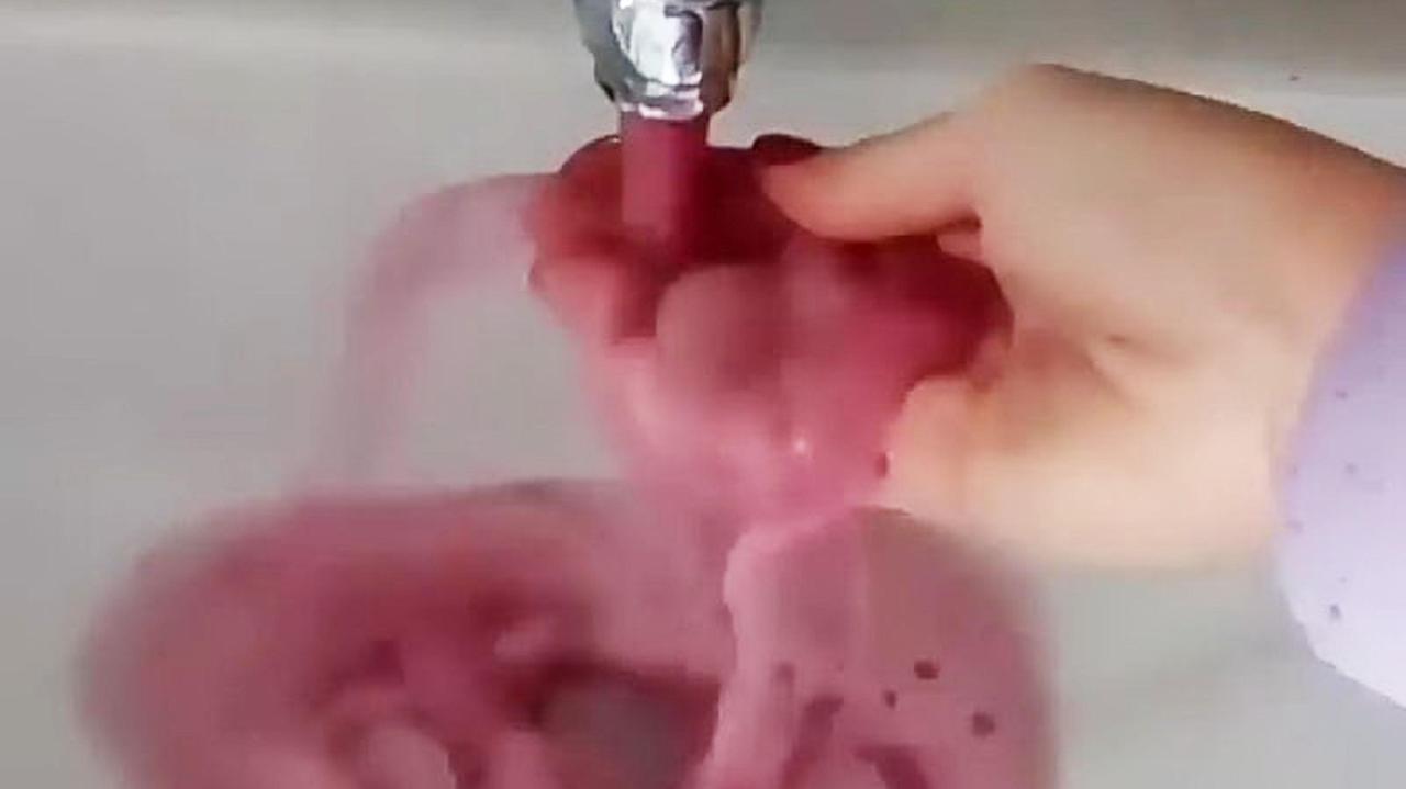 Lambrusco dai rubinetti, a Castelvetro il “miracolo” del vino