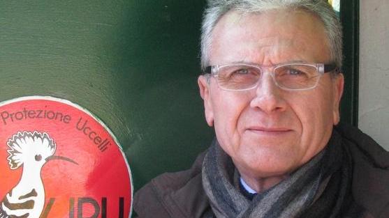 Lipu, mille animali curati «Lasciate i baby ricci»