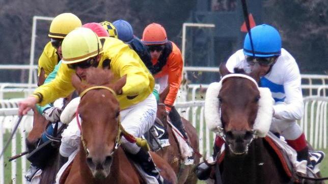 San Rossore, Denarius si aggiudica il premio “Milani”