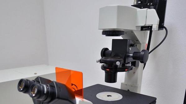 Contava su strumenti di valore assoluto