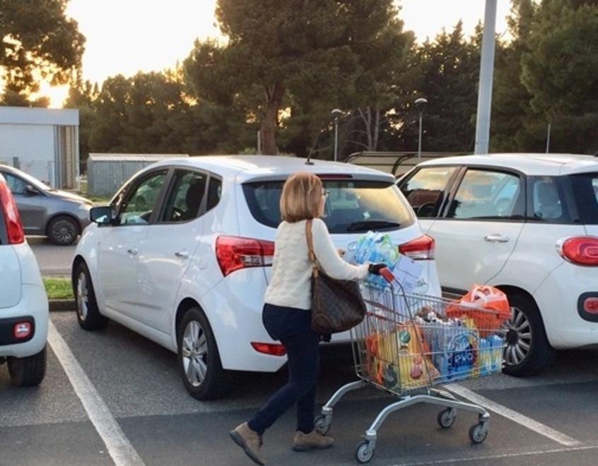 La cliente di un supermercato (foto Falorni/Silvi)