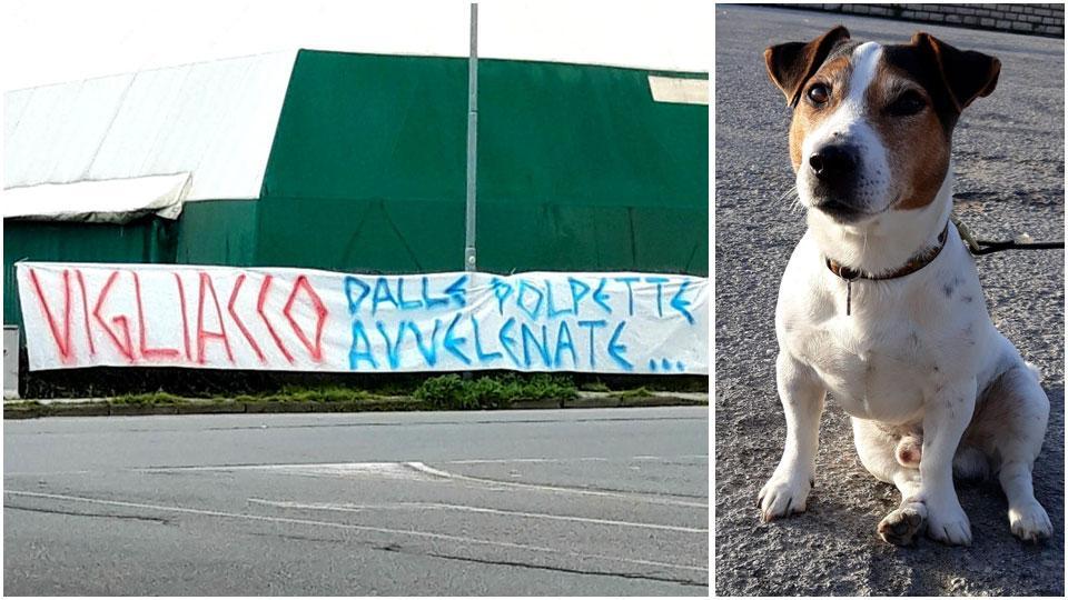 Due cani uccisi dal veleno e lo striscione di rabbia: «Vigliacco, attento»