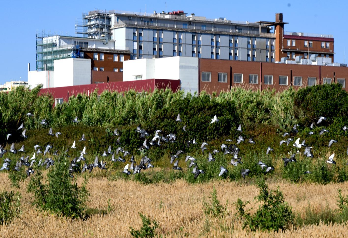 L'ospedale San Martino di Oristano