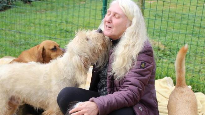La Casa di Margot, amore e impegno per tanti cani in cerca di adozione