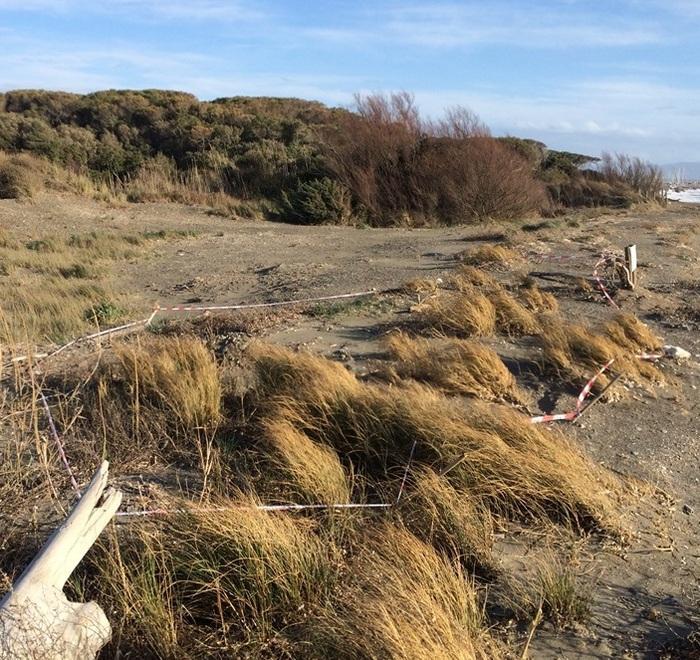 Sospetta bomba spunta in spiaggia alle Gorette sono attesi gli artificieri 