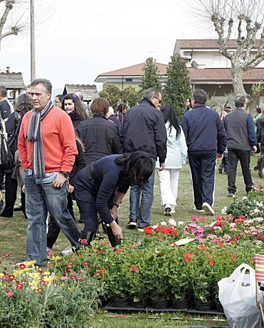 M5S: giusta la decisione di annullare la festa