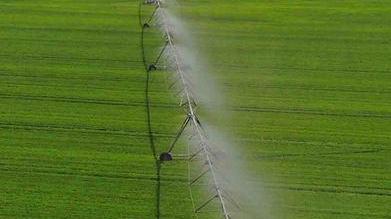 Caldo da record ma rischio gelate Acqua a bietole e servizi anti-brina