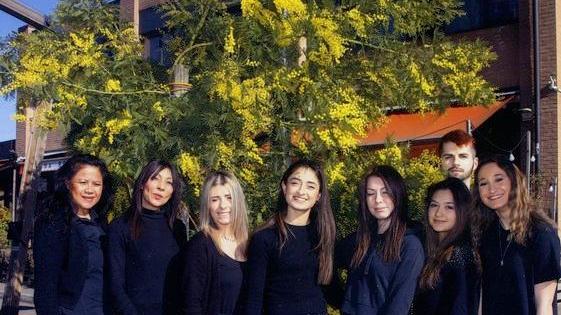 Dal rametto è cresciuta una pianta
