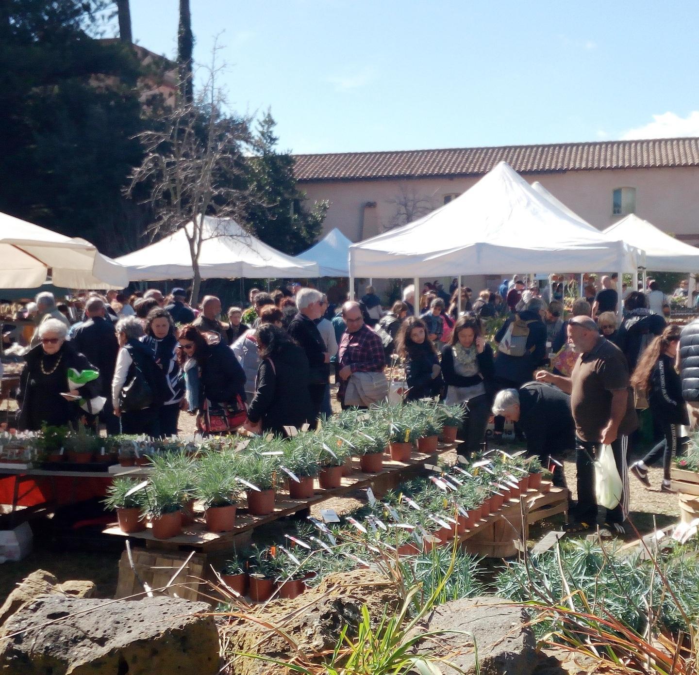 Cancellate feste e sagre in tutta la Provincia 