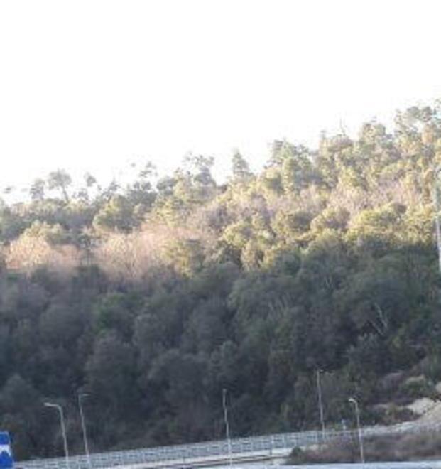 L'auto abbandonata nella piazzola sulla Grosseto-Siena