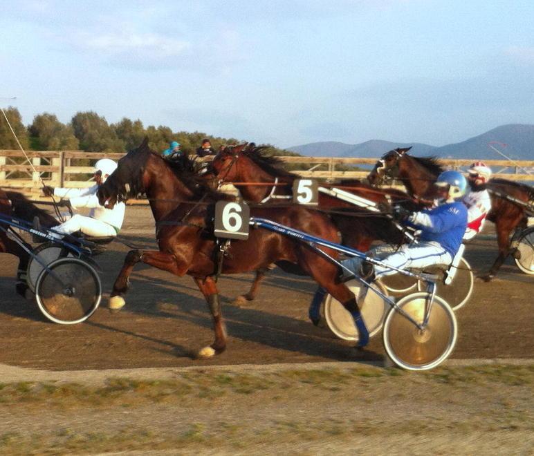 Ai Pini si corre al trotto ma senza spettatori Galoppo, 4 corse in più
