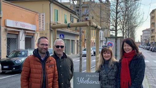 Un nuovo albero grazie al patto “green” Italia Viva-Eliantus