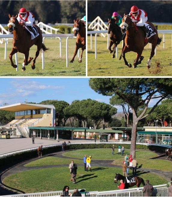 Poules Rook e Andreina, doppietta della scuderia Dormello Olgiata 
