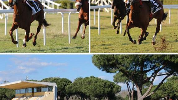 Poules Rook e Andreina, doppietta della scuderia Dormello Olgiata