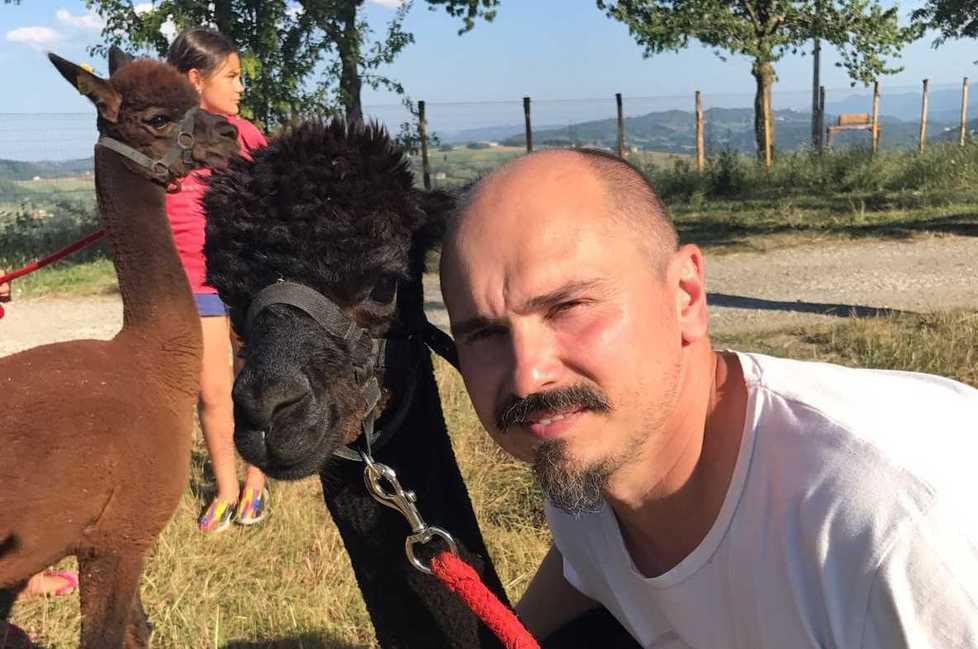 Serramazzoni, la sfida di Stefano e Silvia «Un allevamento di alpaca» 