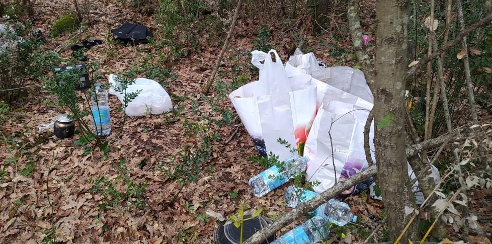 Blitz dei carabinieri Scoperta nel bosco una base di spaccio 