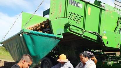 Dall’Est non arrivano stagionali in agricoltura ma nel Modenese per ora non c’è problema