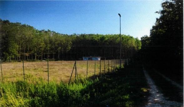 Presto avrà una nuova vita La Conserva, storica “casa” del calcio alle Quattro Strade 