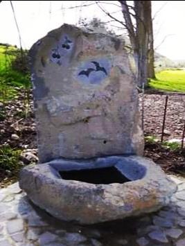 Un sentiero benessere a “Frida Adu” 