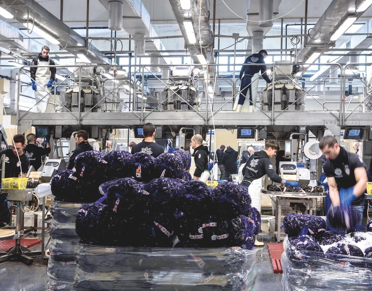 Per Nieddittas riconoscimento internazionale sulla qualità