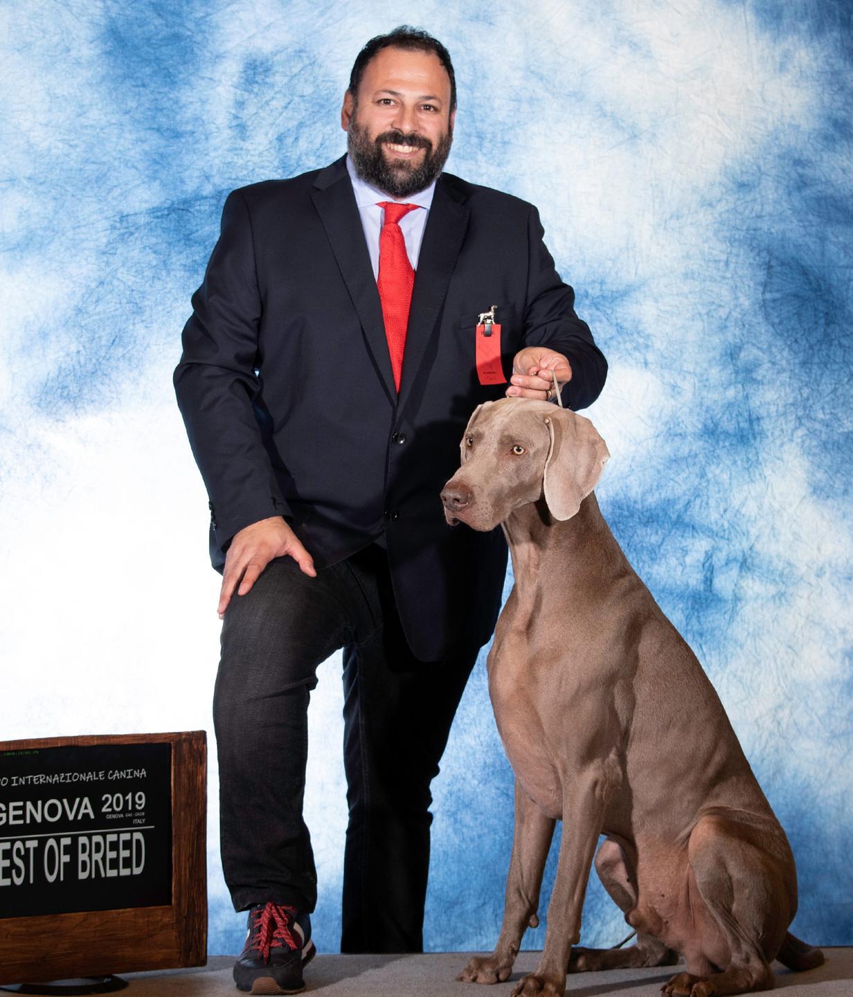 Grijs, il cane ambasciatore di Arzachena 