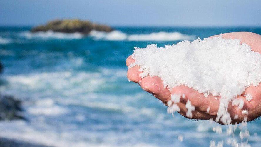 Sotto una coltre di sale del Mediterraneo perdiamo le tossine