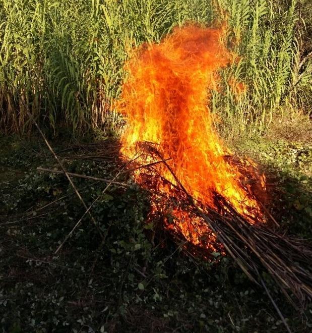 Marzo porta via lo smog: mai sforati i livelli di Pm10 