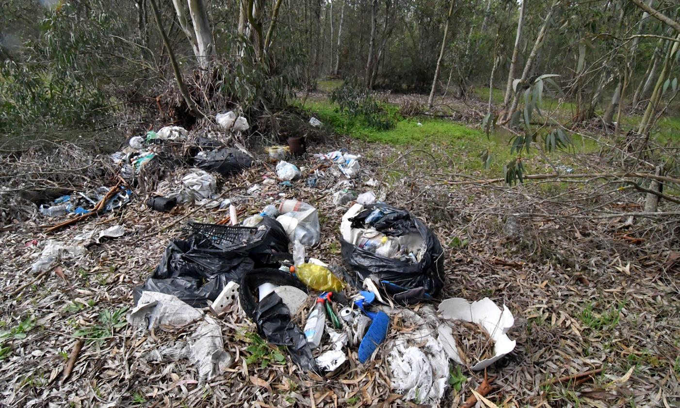 Boschetto trasformato in discarica