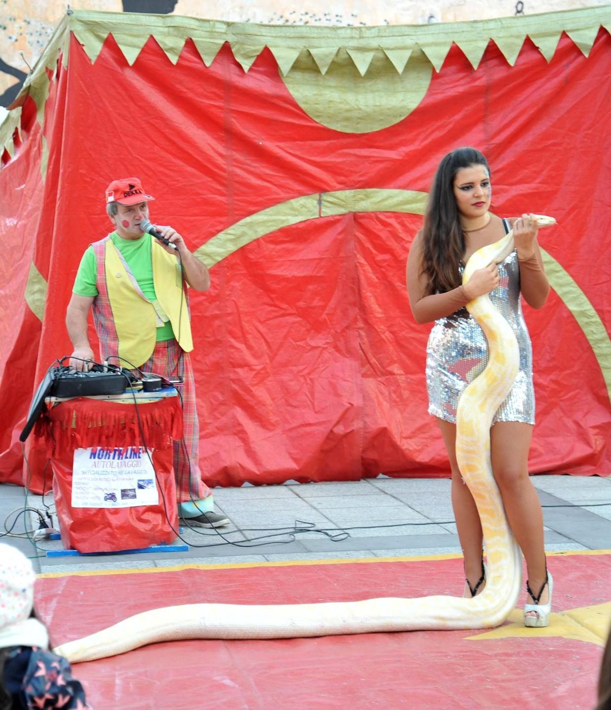 L’agonia del Circo sardo «Intervenga la Regione» 