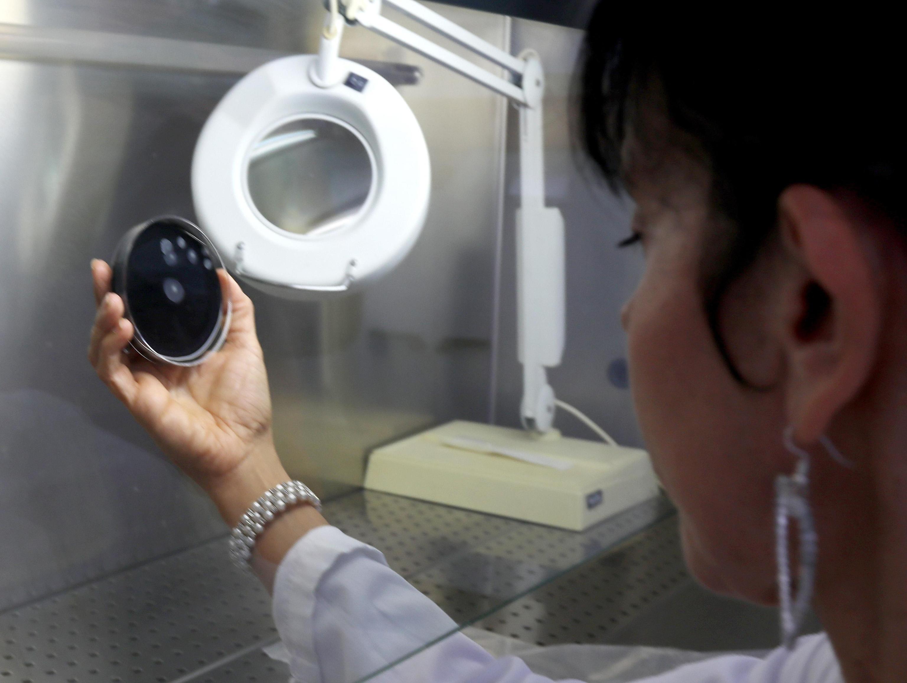Coronavirus, conto corrente per le donazioni dei cittadini a favore del sistema sanitario