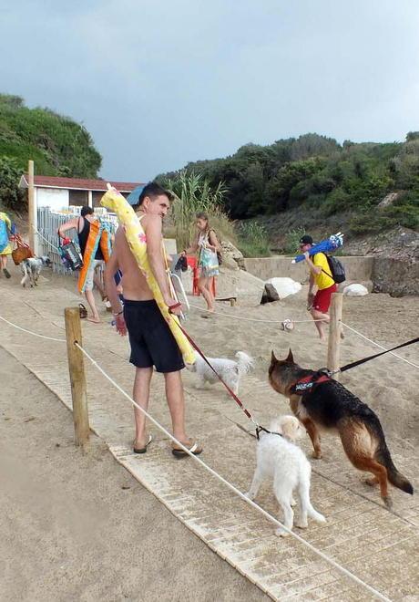 Dog beach, gara per la gestione Affidamento solo per la stagione 2020 