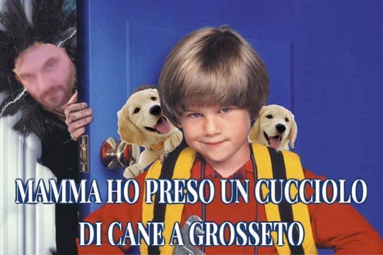 L'ironia sui social sul sindaco Biffoni e il cucciolo di cane a Grosseto