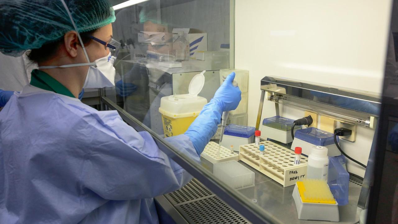 Coronavirus: 5 casi positivi nel territorio dell'Empolese