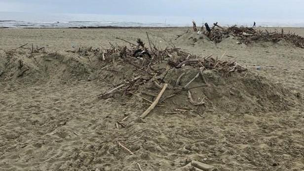 Via dalla spiaggia cinquecento tonnellate di rifiuti del mare