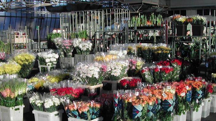 Tra 10 giorni fiori da buttare per il blocco del mercato