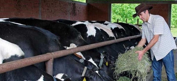 Sos del mondo agricolo «Comprate solo italiano» 