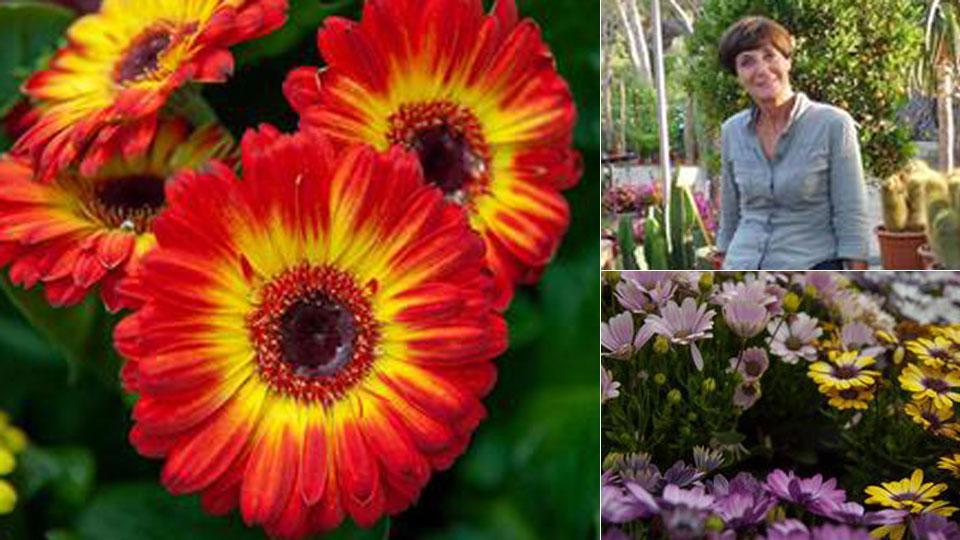 Approfittate per curare i vostri fiori: ecco i consigli del vivaio Teresini