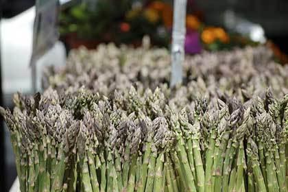 Si perde in cerca di asparagi, denunciata 