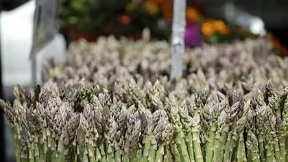 Si perde in cerca di asparagi, denunciata