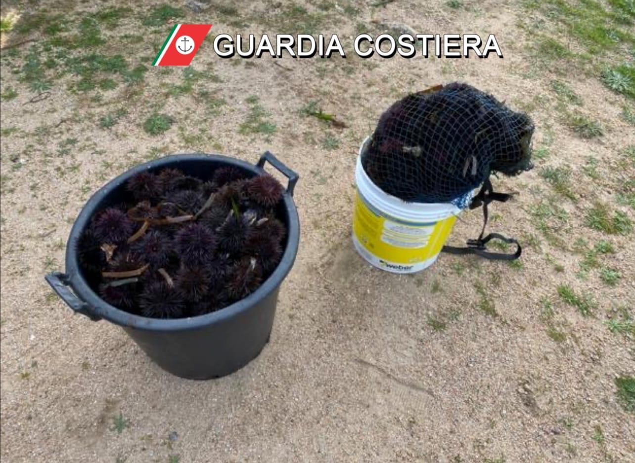 Santa Teresa, pescano ricci illegalmente: denuncia e multa