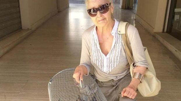 Accudire i mici? Sempre possibile basta dichiararlo
