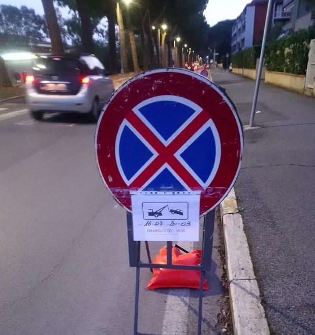 Fissata l’udienza ma niente sospensiva: pini a rischio 