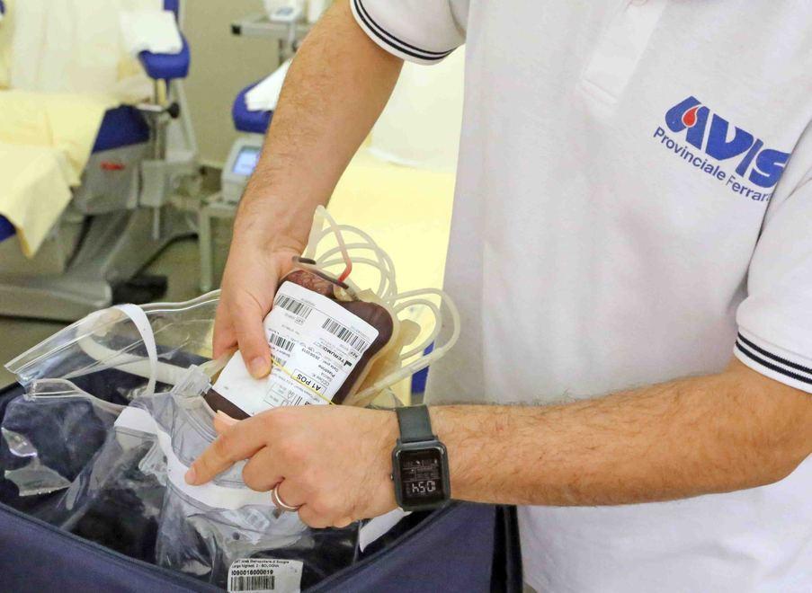 Avis, rinviata l’assemblea Appello per le donazioni