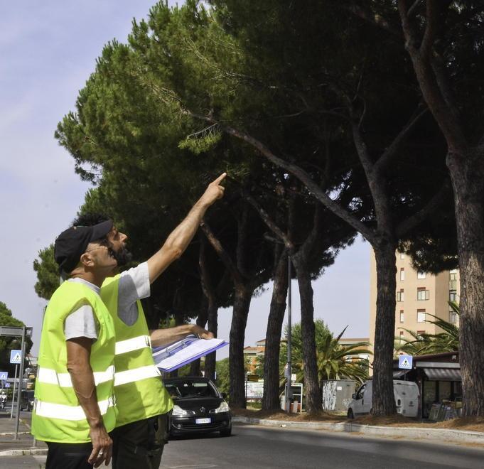 Cantiere pini via Mascagni, istanza al prefetto 