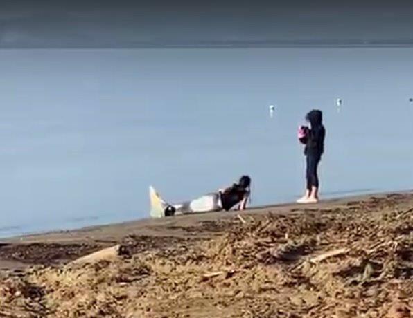 Si affaccia alla finestra di casa e vede una “sirena” sul bagnasciuga
